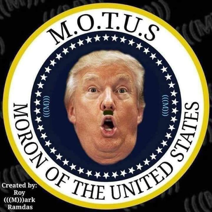 tRump MORON OF THE UNITED STATES sticker