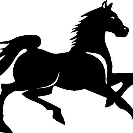 Horses Horse Animal Vinyl Car or WALL Decal Stickers 11
