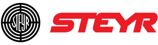 Steyr Logo Color Vinyl Sticker
