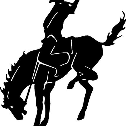 Horses Horse Animal Vinyl Car or WALL Decal Stickers 09