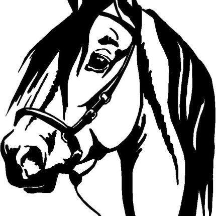Horses Horse Animal Vinyl Car or WALL Decal Stickers 13