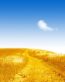Landscape Vinyl Wall Graphic Decals 32