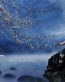 Fairies and Fantasy Wall Graphics 197