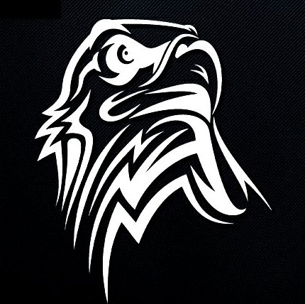 eagle-head-usa-car-decal