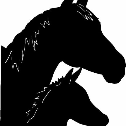 Horses Horse Animal Vinyl Car or WALL Decal Stickers 20