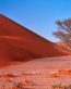 Sand and Deserts Vinyl Wall Graphics 31