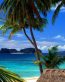 Beaches and Coastal Vinyl Wall Graphics 085