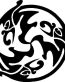 Bird Birds animal Car or Wall Vinyl Decal Sticker 37