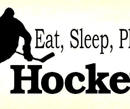 Eat Sleep Play HOCKEY 3