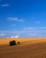 Landscape Vinyl Wall Graphic Decals 28