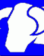 Taurus Vinyl Decal