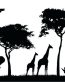 African Animal Decal 40