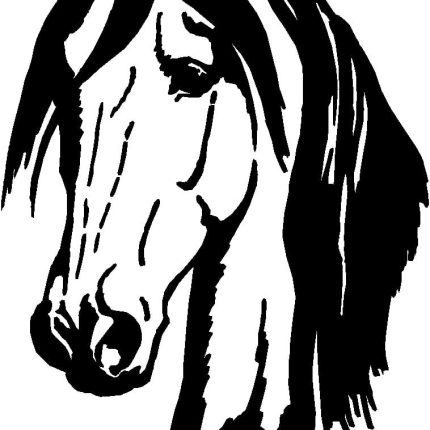 Horses Horse Animal Vinyl Car or WALL Decal Stickers 17