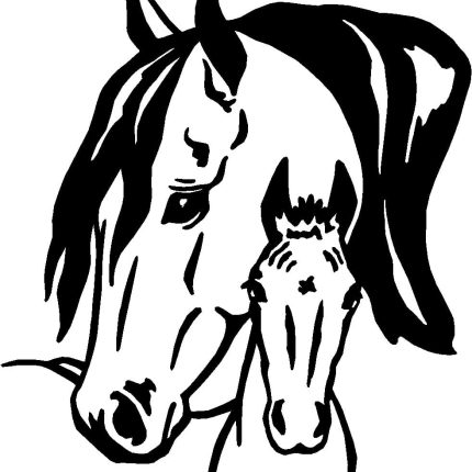 Horses Horse Animal Vinyl Car or WALL Decal Stickers 23