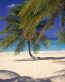 Beaches and Coastal Vinyl Wall Graphics 125
