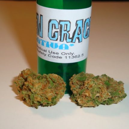 Green Crack Herbal Solutions Bud Decal