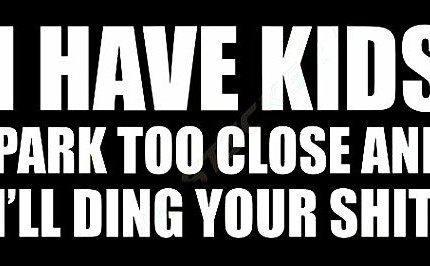 HAVE KIDS I WILL DING YOUR SHIT funny car sticker