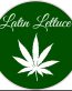 Latin-Lettuce-Weed-Sticker