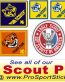 boy scout PINEWOOD DERBY decal pack 1