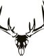 Deer Skull 02