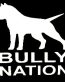 BULLY NATION DIE CUT DECAL