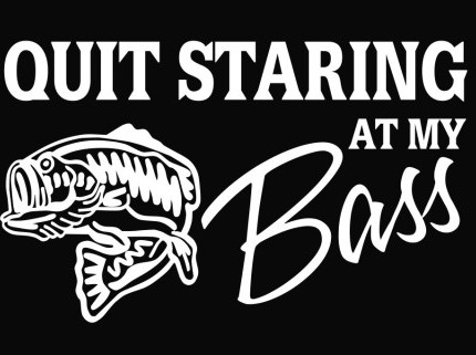 Quit Staring at My Bass Vinyl Die Cut Decal Sticker