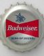 Budweiser Bottle Cap