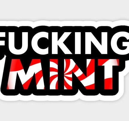 FUCKING MINT COLOR VINYL AUTO STICKER