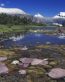 Mountain Scenes Wall Art Decals 123