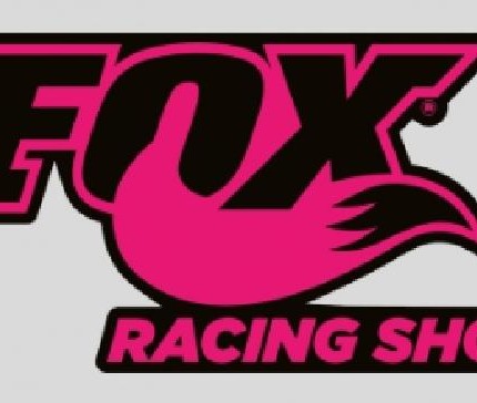 F Racing-Shox-Pink-Tall-Decal