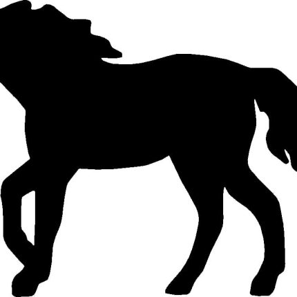 Horses Horse Animal Vinyl Car or WALL Decal Stickers 21
