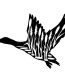 duck-hunting-wildlife-stencils-silhouette-cattails die cut decal