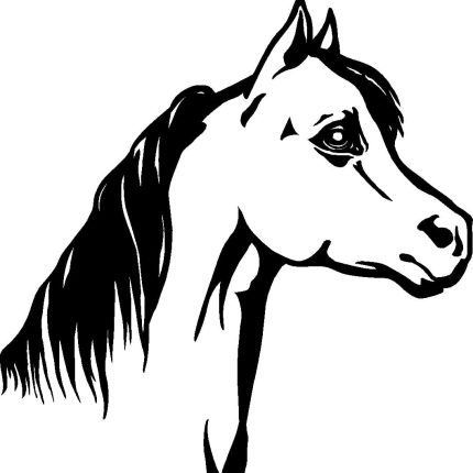Horses Horse Animal Vinyl Car or WALL Decal Stickers 03