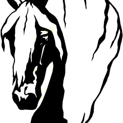 Horses Horse Animal Vinyl Car or WALL Decal Stickers 24