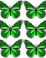 butterfly sticker GREEN - 6 PACK