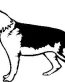 German Shepard Vinyl Decal