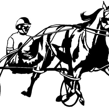 Horses Horse Animal Vinyl Car or WALL Decal Stickers 18