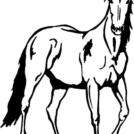 Horses Horse Animal Vinyl Car or WALL Decal Stickers 22