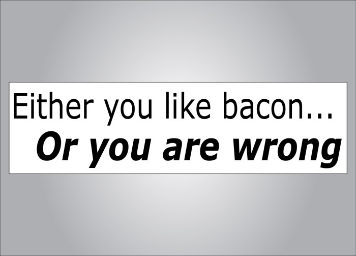 Either you like bacon or youre wrong bumper sticker