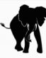 African Animal Decal 27