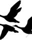 Duck Hunting Decal Sticker 22
