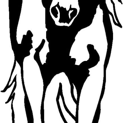 Horses Horse Animal Vinyl Car or WALL Decal Stickers 12