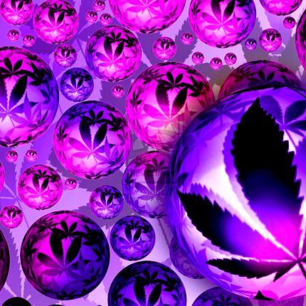 purple bubbles weed sticker