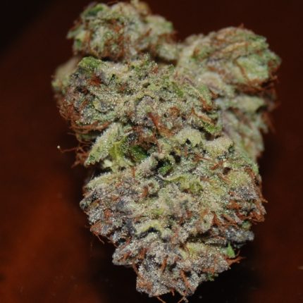 bud picture 13