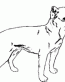 Dog Breed Decal 40a
