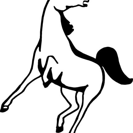 Horses Horse Animal Vinyl Car or WALL Decal Stickers 04