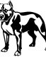 Pitbull Vinyl Car Decal 14