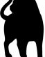 Cat Cats Animal Animals Vinyl Decal Sticker 04