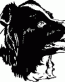 Dog Breed Decal 33