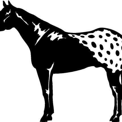Horses Horse Animal Vinyl Car or WALL Decal Stickers 08